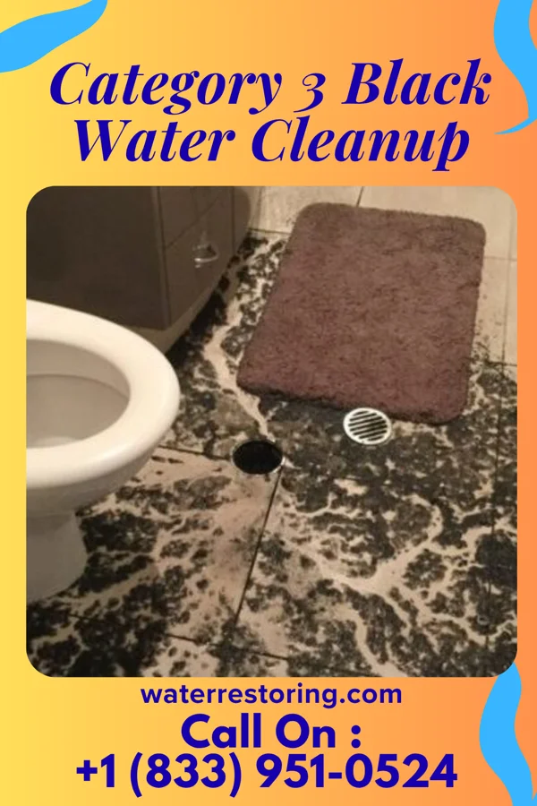 Category 3 Black Water Cleanup in Caddo, OK